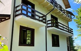 Cabana Din Padure